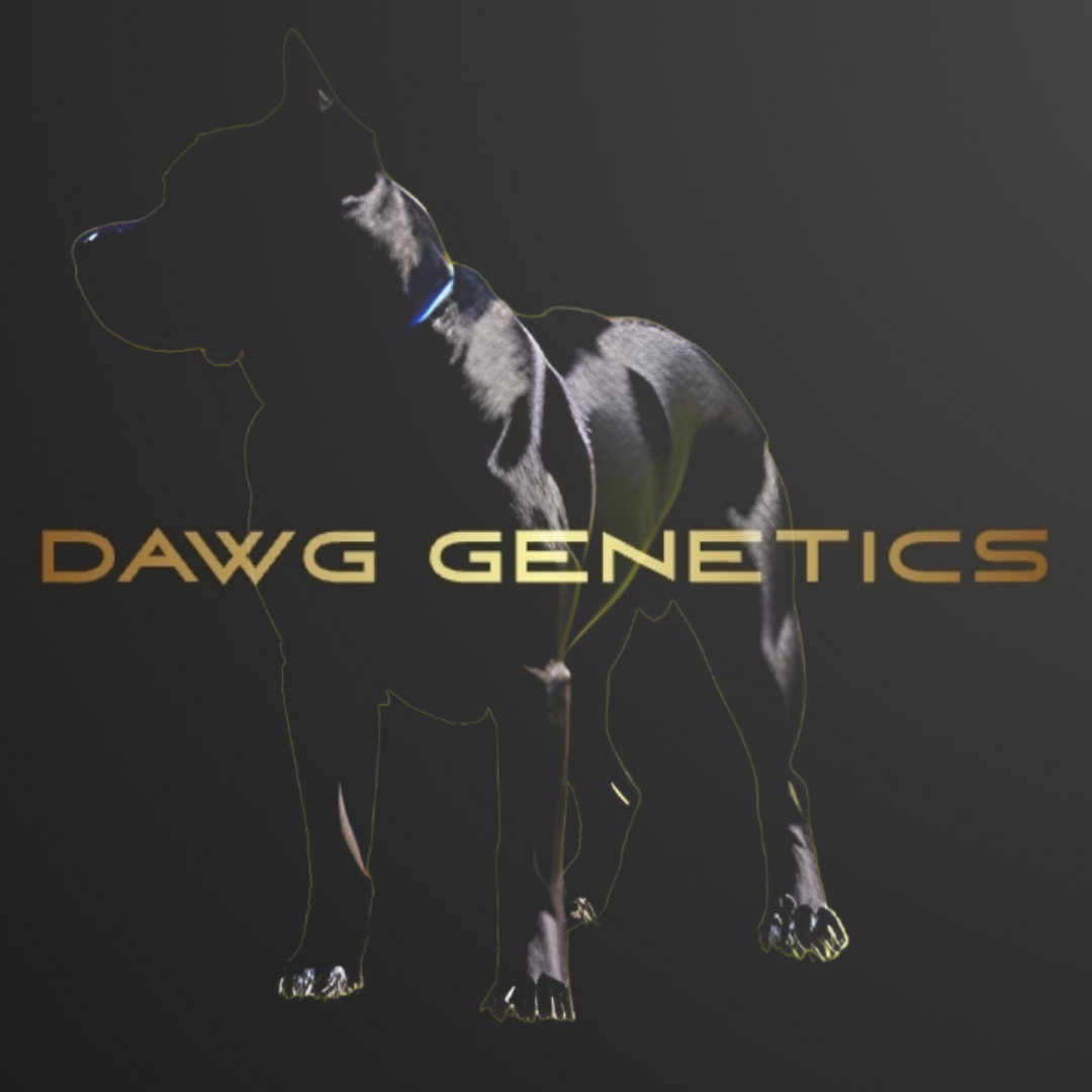 Dawg Genetics