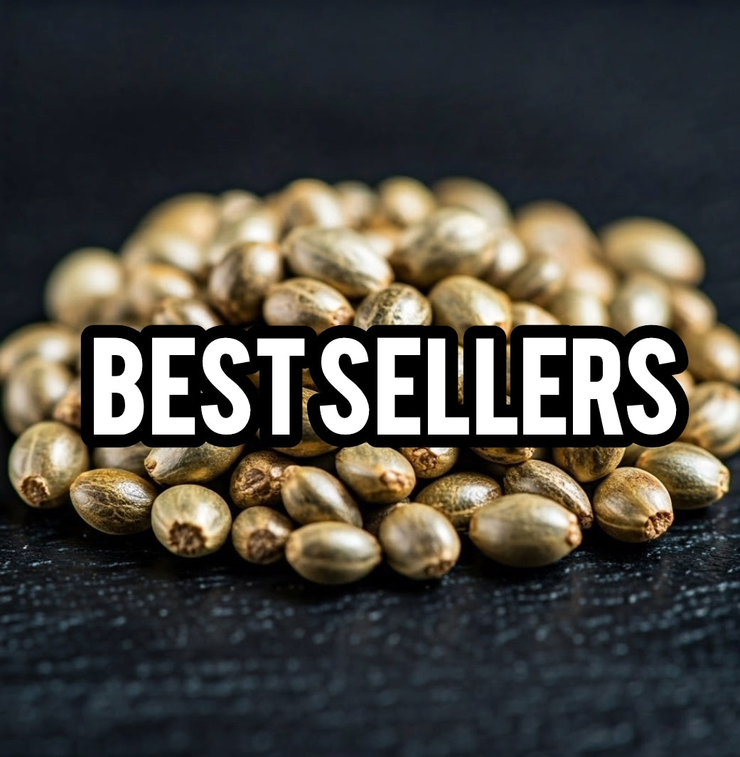 Best Sellers