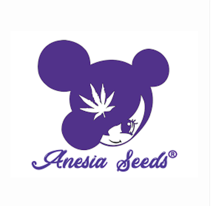 Anesia Seeds