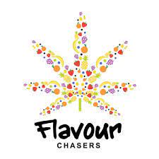 Flavour Chasers