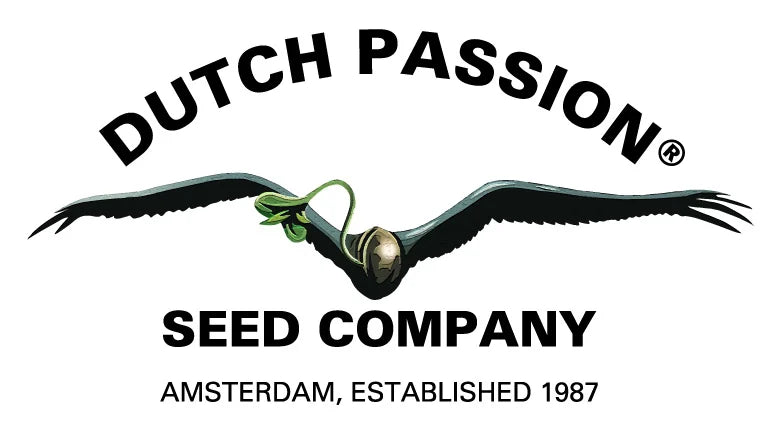 Dutch Passion