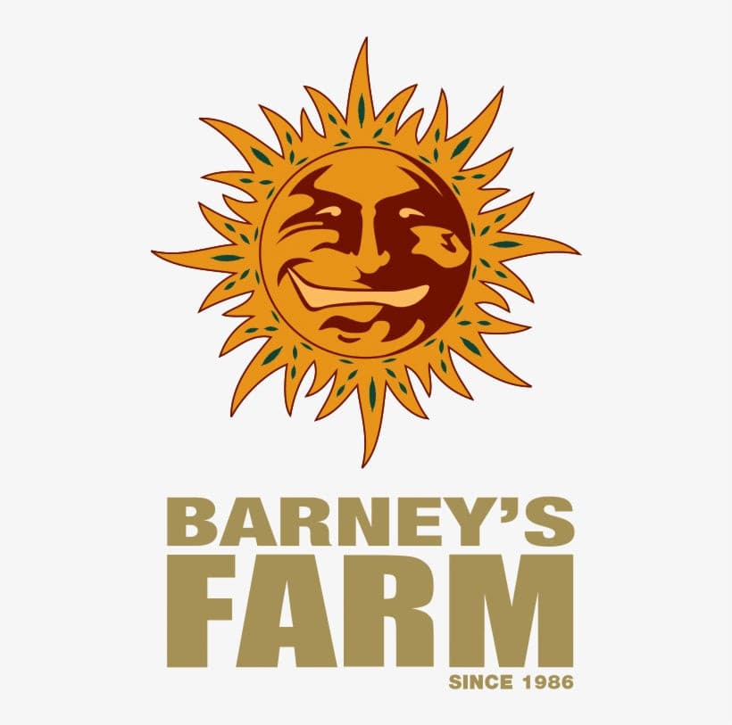 Buy Barneys Farm Banana Punch Cannabis Seeds UK