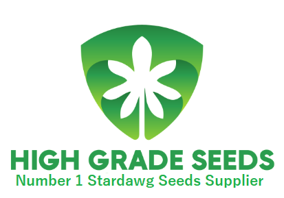 Buy High Grade Stardawg Cannabis Seeds UK