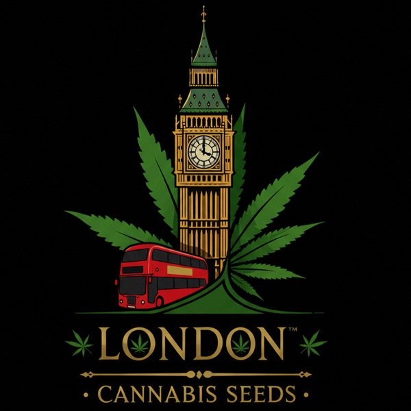 London Cannabis Seeds - Buy Cannabis Seeds UK